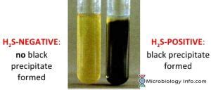 sulphur test.
